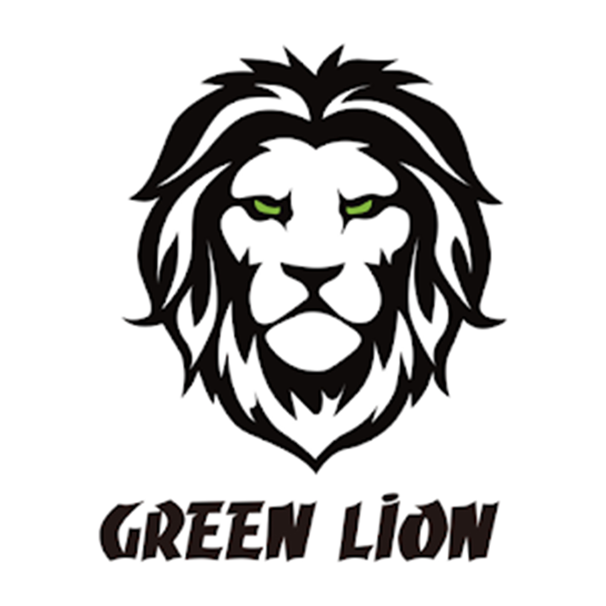 هولدر خودرو گرین لاین GNUVCRHLDBK
